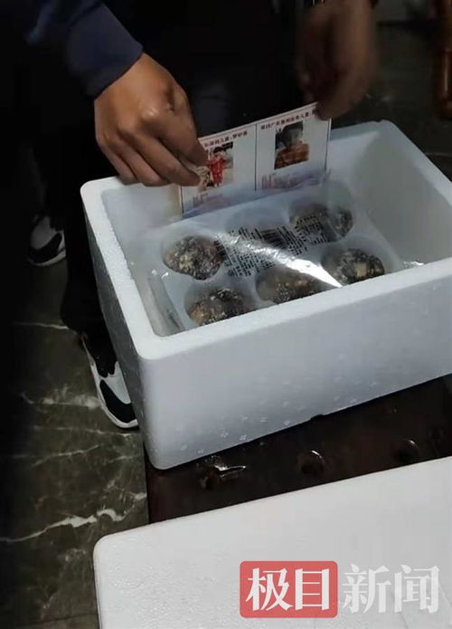 孫海洋跨界餐飲 以包子為媒，將尋親信息送入千家萬(wàn)戶